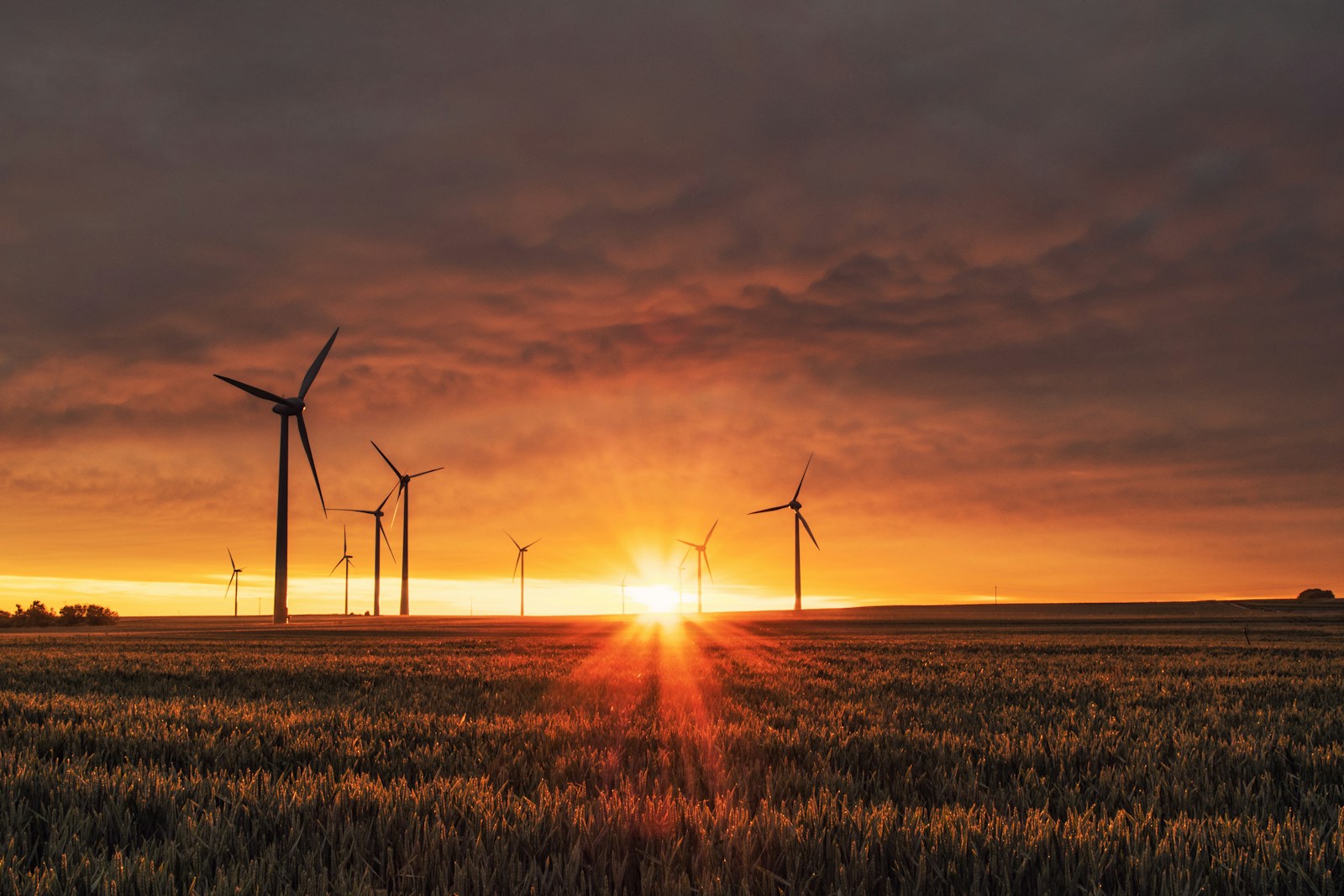 Wind turbines on green hills beside a solar installation